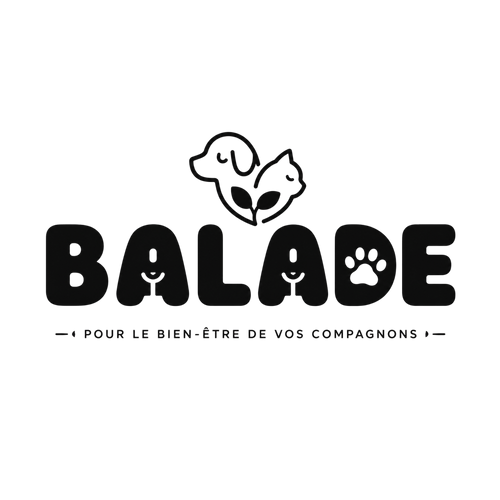 Balade