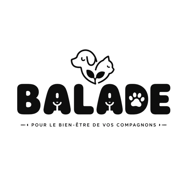 Balade